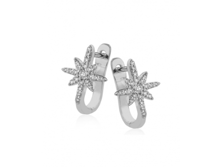 Zeghani Earrings Ze714 For Cheap