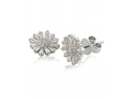 Zeghani Earrings Ze841 For Cheap