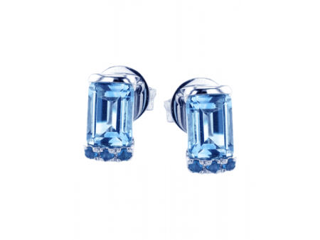 Zeghani Earrings Ze876 For Cheap